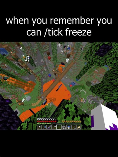 When You Remember You Can Tick Freeze in Minecraft