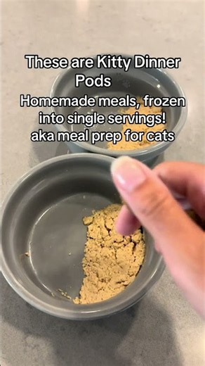 Homemade cat food EASY #catnutrition #kittens #catfood