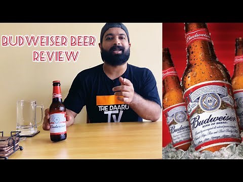 Budweiser Lager Beer Review l Thirsty Thursday #budweiser