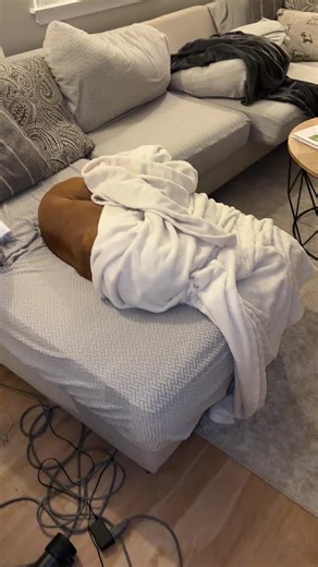 Toughest Last Pee Before Bed - Boxer Dog