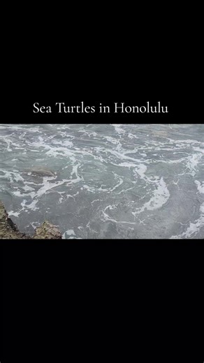 FGT (@fred8027)’s videos with Sirius - Armin van Buuren & AVIRA