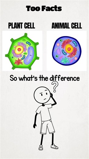 what's the difference on biology|#biology #shorts