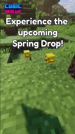 Realm Code MCBE 26.10! Cubic Snapshot Realm Preview 26.10.20 Reset #minecraft #realm #realmcode