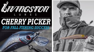 The early-fall migration of shad/baitfish is already on in the Northern states, and it won't be long before schooling shad are the key factor in fisheries across the country. RIGHT NOW is the time to start throwing the "Cherry Picker" JerkMaster 121D! Here's some fall advice from jerkbait king Hank Cherry on why the Cherry Picker with EBS Technology is such a powerful tool this time of year. #fishing #bassfishing #fishcatchingmachine | Livingston Lures