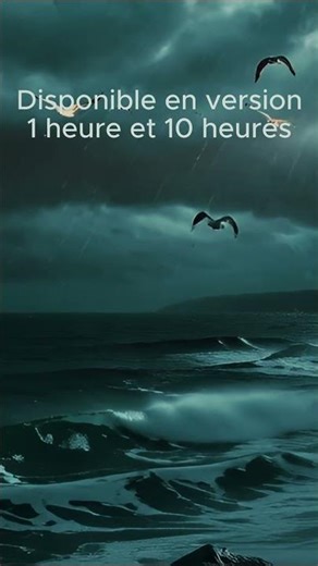 Ambiance - Nuit de Tempête en Bretagne | Étudier, Dormir, concentration & relaxation