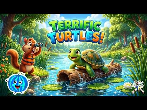 🐢💧 Terrific Turtles! | Meet the Shell Swimmers! | Animal Safari ✨