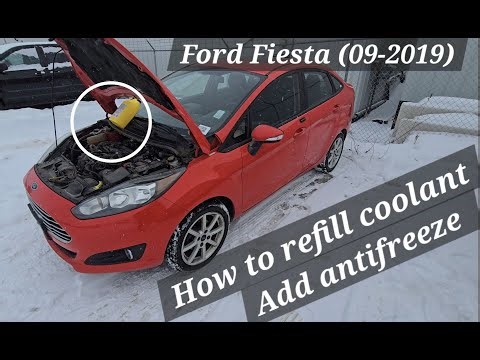How to Add Engine Coolant/Antifreeze in Ford Fiesta (2009-2019) and Ford Focus (2012-2018) EASY DIY!