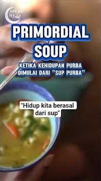 PRIMORDIAL SOUP "Life comes from soup" #curiouscity #theory #science #soup