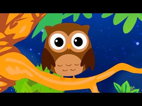 The owl in the night forest | Kids Songs and Nursery Rhymes | Kiddelicious