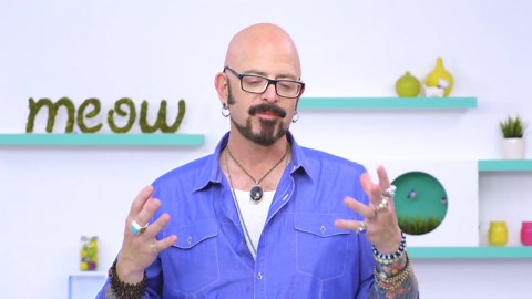 Jackson Galaxy Reveals How To Tell Your Cat "i Love You" | Chewy