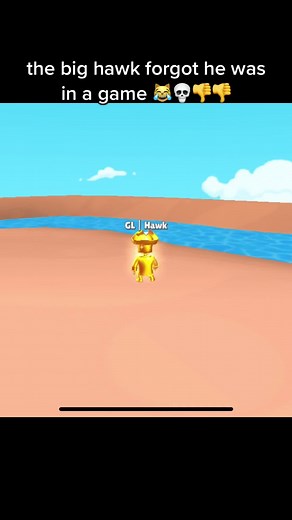 the.big.hawk (@the.big.hawk)’s video of the big hawk