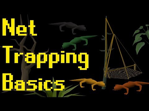 Basic Salamander Hunting Guide 2021 (OSRS)