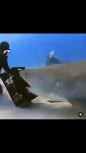 CEO of Dumb Memes on Instagram: "Get rotated * * * #shark #meme #memes #funny #rotated"