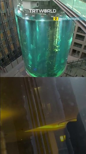 Huge aquarium explodes in Berlin, Germany
