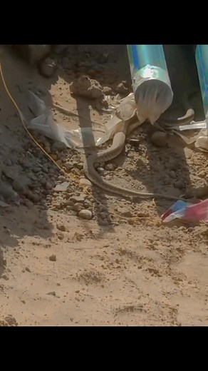 13K views · 44 reactions | Stay safe | Solar Universal Network | Facebook