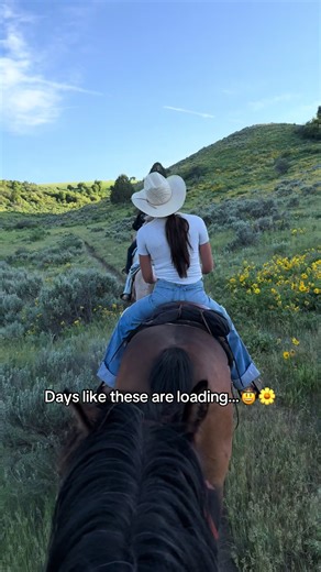 Coming soon…🌼☀️ #mpcgoldpets #naturalpetproducts #horsegirlsoftiktok