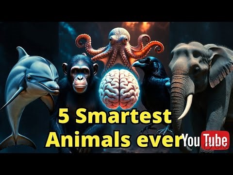 5 Smartest Animals Ever | #aivideo