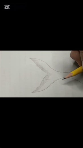 draw mermaid tail #mydoodleworld #drawing #easydrawing #art #sketch #doodleartforbeginners