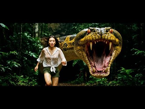 Alone in the Jungle: Brave Woman Escapes Giant Python Attack 🐍🌿