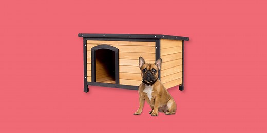 10 Coziest Insulated Dog Houses to Keep Your Pet Snug as a Bug
