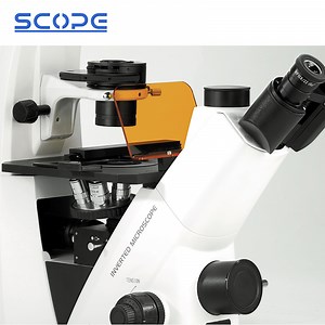 [Hot Item] Lab Instrument Biological Infinity Optical 40X~400X Bds500-L Inverted Fluorescence Microscope