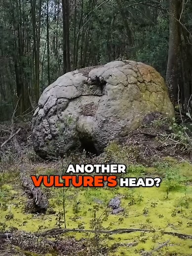 LOST ICE AGE GIANTS | BIRD HEADS? Deep in the wilderness we found these two massive, ancient carved stones resembling condors and vultures. The sheer scale is wild. 🦅🗿 Who built these giant birds? Drop your theories below.👇 ​#Megalithic #AncientMysteries #LostCivilization #Archaeology #GiantCondor