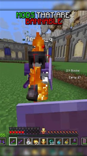 These Mods Will Get You BANNED #minecraft #pvp #shorts