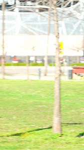 CRAZIEST PRANKS! 😂 | Team Savageshawn