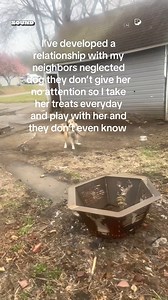 262K views · 8.4K reactions | Even the smallest actions have the greatest impact  (Via - Brian S.) #Dogs | Try Not to Laugh | Facebook