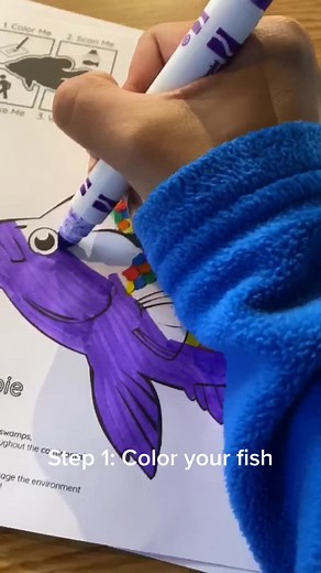 Explore the Fintastic Art at St. Louis Aquarium