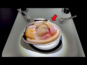 You Won’t Believe How Clams Eat… We Caught It on Camera!