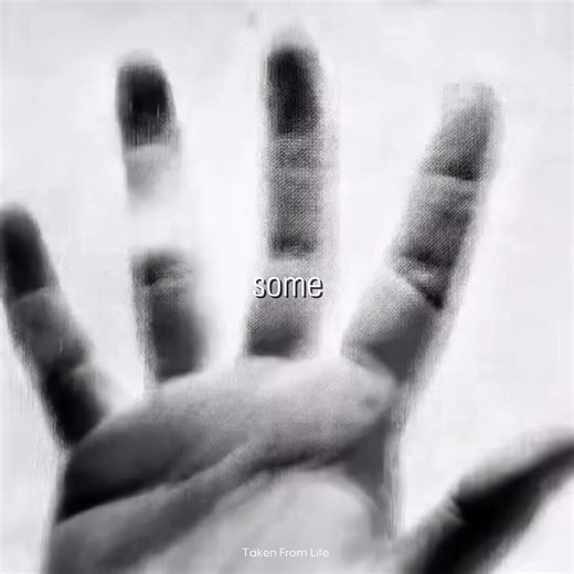 Take me back | Taken From Life