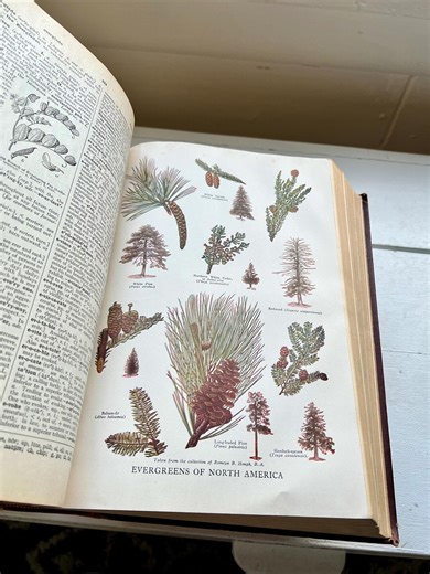 1952 New Century Dictionary Set: Vintage English Library Hardcover - Etsy