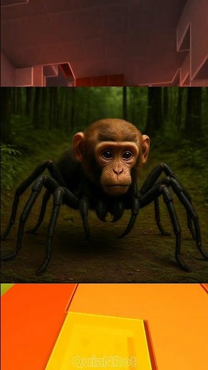 Extreme Brainrot Quiz 013