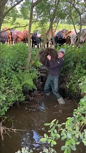 Clearing up the FLOODED Rivers of Northern Ireland 😮🌧️ Rain takes over #northernireland #storm