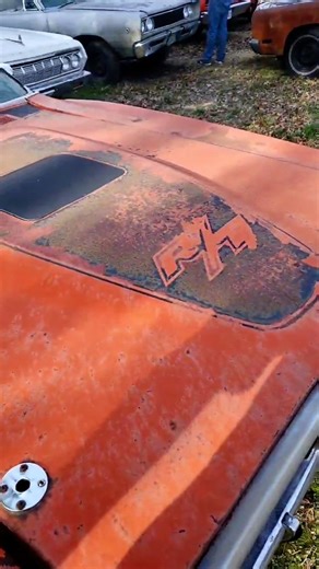 Just a 1971 Dodge Charger R/T, 440 Six Pack car hanging out in my friends yard. This is one of many cars just chilling there. #dodge #charger #hemi #mopar #autoarchaeology | The Auto Archaeologist