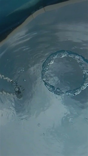 Meine ersten ausgezeichneten Unterwasser Ringe! ⭕🫧💦😁