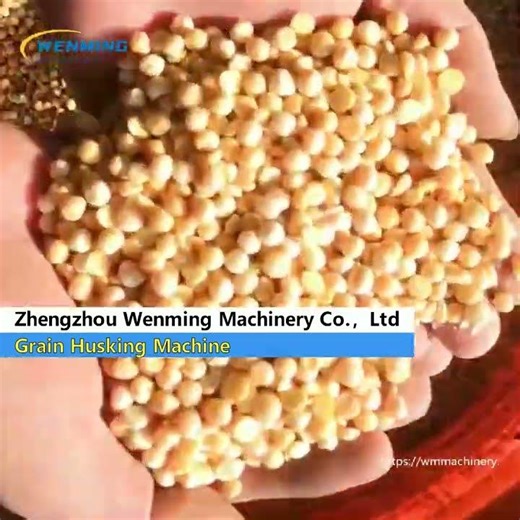 Grain Husking Machine #machine