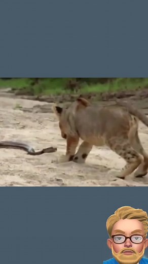 lele797979 on TikTok