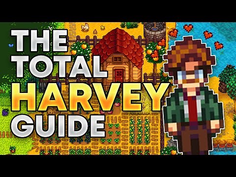 The total guide to Harvey in Stardew Valley!