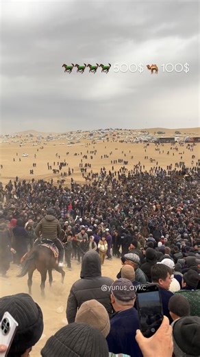 𝒴𝒰𝒩𝒰𝒮 🐎 on Instagram: "🐎🐎🐎🐎500$ 🐫 100 $ Sham polvon tampo bilan ayirdi ✅ @yunus_aykc_"