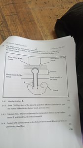 Life Sciences September Exam P12.4 The diagram below represen... | Filo
