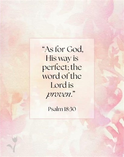#bible #bibleverse #jesus #gospelmusic #god #trust #prayer #godsplan #dailyreminder #verseoftheday