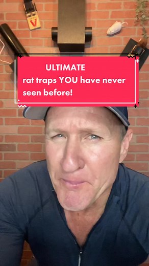 What rat traps do professionals use? #rats #pestcontrol #twintrap #homeowners
