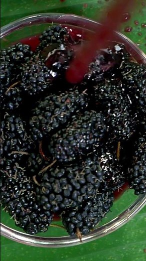 10 benefits of mulberries#shorts
