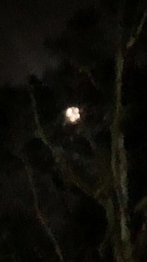 Nelson (@dwnelson68)’s videos with Bad Moon Rising - Remastered 1985 - Creedence Clearwater Revival