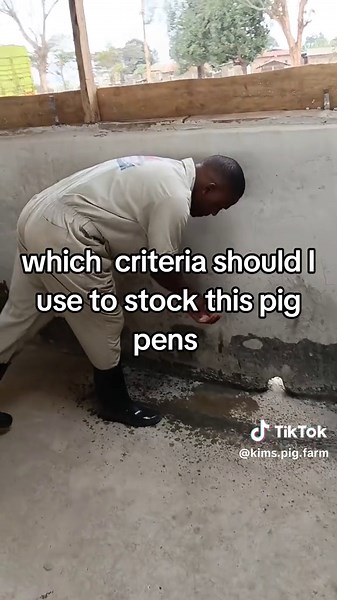 Essential Criteria for Stocking Pig Pens Effectively