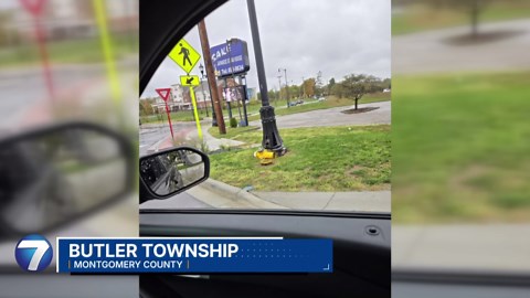 Police investigating hit-and-run crash that damaged fire hydrant, light post in Butler Township