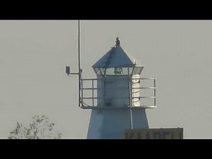 Canon PowerShot SX60 HS - zoom test