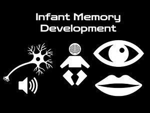 Infant Memory Development